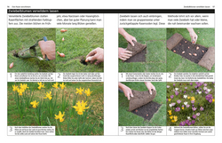 Innenansicht 1 zum Buch Rasen & Bodendecker