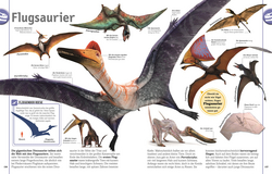 Innenansicht 1 zum Buch Unsere Welt in 1000 Bildern. Dinosaurier