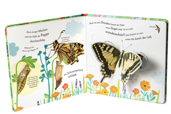 Innenansicht 3 zum Buch Wie wird die Raupe zum Schmetterling?