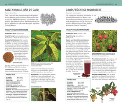 Innenansicht 8 zum Buch Heilpflanzen Kompaktlexikon