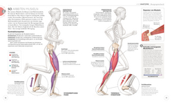 Innenansicht 3 zum Buch Lauftraining – Die Anatomie verstehen