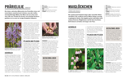 Innenansicht 5 zum Buch Grünes Gartenwissen. Zwiebel- und Knollenpflanzen