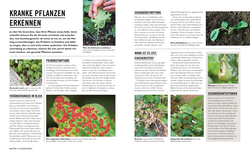 Innenansicht 2 zum Buch Grünes Gartenwissen. Krankheiten und Schädlinge