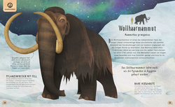 Innenansicht 2 zum Buch Tiere: 50 Geschichten über Mammut, Panda, Elefant und Co.