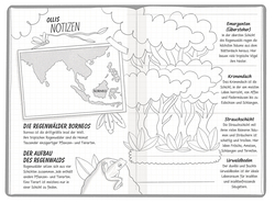 Innenansicht 7 zum Buch Ein Fall für die Forscher-Kids 5. Jagd durch den Regenwald