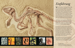 Innenansicht 3 zum Buch Wissen für clevere Kids. Dinosaurier und andere Tiere der Urzeit für clevere Kids