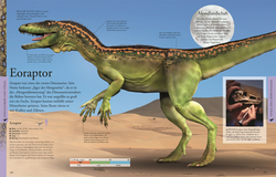 Innenansicht 6 zum Buch Wissen für clevere Kids. Dinosaurier und andere Tiere der Urzeit für clevere Kids