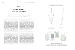 Innenansicht 7 zum Buch Provence. Eine Augenreise