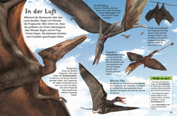 Innenansicht 1 zum Buch memo Kids. Dinosaurier