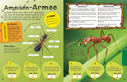 Innenansicht 1 zum Buch Das Mach-Malbuch Insekten