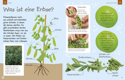 Innenansicht 6 zum Buch Leckerschmecker Kochentdecker