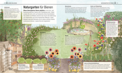 Innenansicht 5 zum Buch Das Bienen Buch