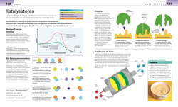 Innenansicht 6 zum Buch Biologie, Chemie, Physik für Eltern