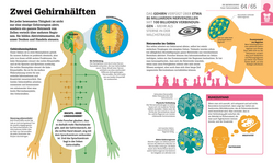 Innenansicht 5 zum Buch #dkinfografik. Der menschliche Körper