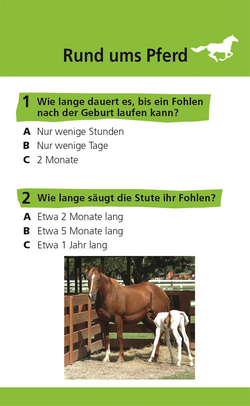 Innenansicht 2 zum Buch memo Quiz. Pferde