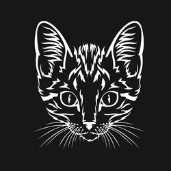 Innenansicht 3 zum Buch Black Premium. Katzen. Ausmalen, Aufhängen, Verschenken.