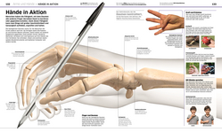 Innenansicht 6 zum Buch DK Wissen. Mensch