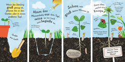 Wachse kleine Sonnenblume Das Pflanzenbuch für Kinder
