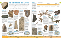 Innenansicht 7 zum Buch memo Wissen entdecken. Evolution