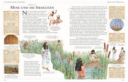 Innenansicht 6 zum Buch Die große illustrierte Kinderbibel
