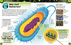 Innenansicht 8 zum Buch Superstarke Bakterien