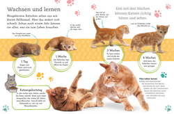 Innenansicht 2 zum Buch Alles über deine Katze