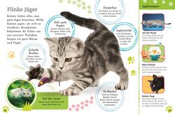 Innenansicht 5 zum Buch Alles über deine Katze