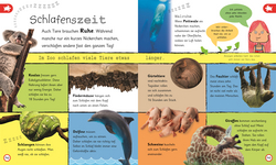 Innenansicht 7 zum Buch Wissen für Vorschulkids. Was weißt du über Tiere?