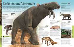 Innenansicht 8 zum Buch Wissen für clevere Kids. Dinosaurier und andere Tiere der Urzeit für clevere Kids