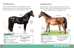 Innenansicht 7 zum Buch Pferde und Ponys