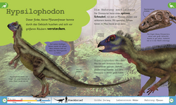 Innenansicht 4 zum Buch Wissen für Vorschulkids. Was weißt du über Dinos?