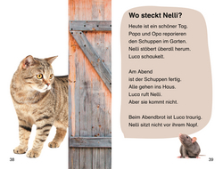 Innenansicht 2 zum Buch SUPERLESER! Lucas neue Katze