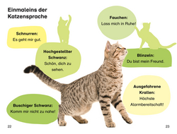 Innenansicht 5 zum Buch SUPERLESER! Lucas neue Katze