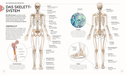 Innenansicht 3 zum Buch Yoga verstehen - Die Anatomie der Yoga-Haltungen