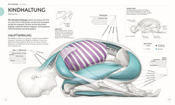 Innenansicht 5 zum Buch Yoga verstehen