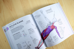 Innenansicht 9 zum Buch Yoga verstehen - Die Anatomie der Yoga-Haltungen