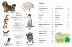 Innenansicht 1 zum Buch memo Wissen entdecken. Hunde