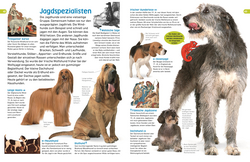 Innenansicht 7 zum Buch memo Wissen entdecken. Hunde