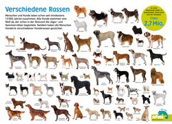 Innenansicht 8 zum Buch memo Wissen entdecken. Hunde
