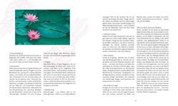 Innenansicht 8 zum Buch Midlife Yoga