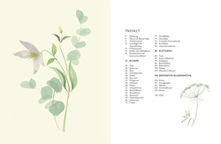 Innenansicht 2 zum Buch Blüten, Blätter, Pflanzen malen mit Watercolor