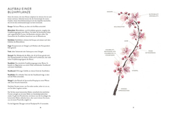 Innenansicht 3 zum Buch Blüten, Blätter, Pflanzen malen mit Watercolor