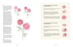 Innenansicht 5 zum Buch Blüten, Blätter, Pflanzen malen mit Watercolor