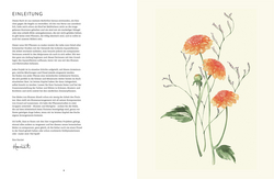Innenansicht 6 zum Buch Blüten, Blätter, Pflanzen malen mit Watercolor