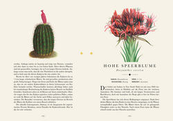 Innenansicht 2 zum Buch Naturelove. Die 50 schönsten Blumen und Blütenpflanzen der Welt