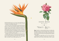 Innenansicht 3 zum Buch Naturelove. Die 50 schönsten Blumen und Blütenpflanzen der Welt