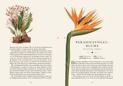 Innenansicht 4 zum Buch Naturelove. Die 50 schönsten Blumen und Blütenpflanzen der Welt
