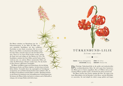 Innenansicht 7 zum Buch Naturelove. Die 50 schönsten Blumen und Blütenpflanzen der Welt