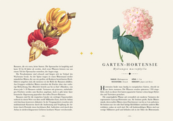 Innenansicht 8 zum Buch Naturelove. Die 50 schönsten Blumen und Blütenpflanzen der Welt