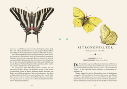 Innenansicht 1 zum Buch Naturelove. Die 50 schönsten Schmetterlinge der Welt